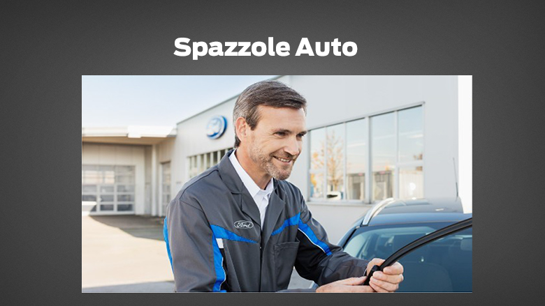 Spazzole Auto