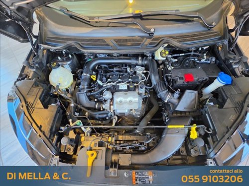 FORD EcoSport Usata 4805574 S06