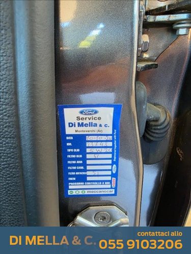 FORD EcoSport Usata 4805574 S20