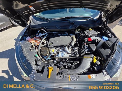 FORD EcoSport Usata 4455588 S12